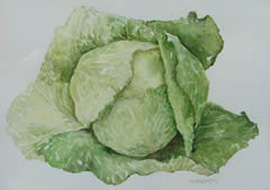 Cabbage_card.jpg